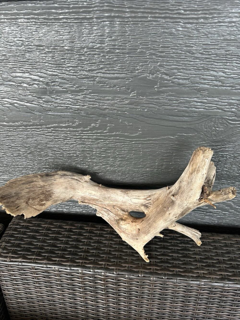 Natural Great Lakes Driftwood Large Branchy Reptile Terrarium Decor Appox 17x14
